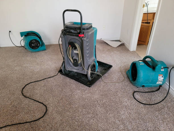 Best Water damage cleanup near me  in Algood, TN